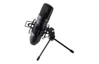 Tascam TM-80 (B)